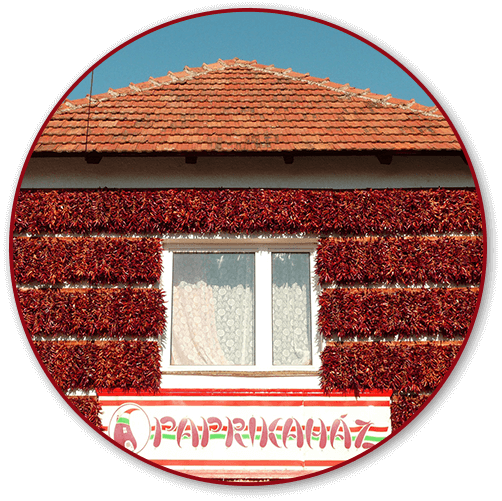 belgabiz-networking-professionals-belgian-business-club-in-hungary-slider-3 Hungarian paprika ház